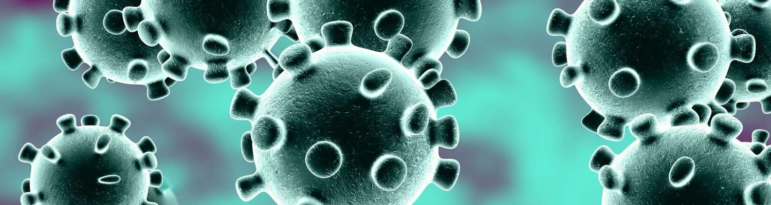 Bacteriën nieuws update